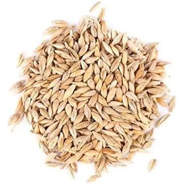 Barley Seed - Certified  - Non-GMO (1/2 lb)