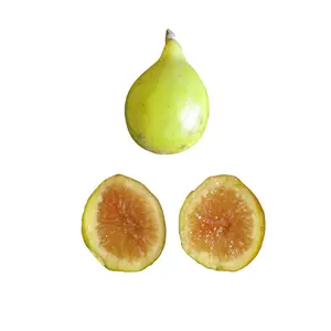 Peter's Honey Fig Tree