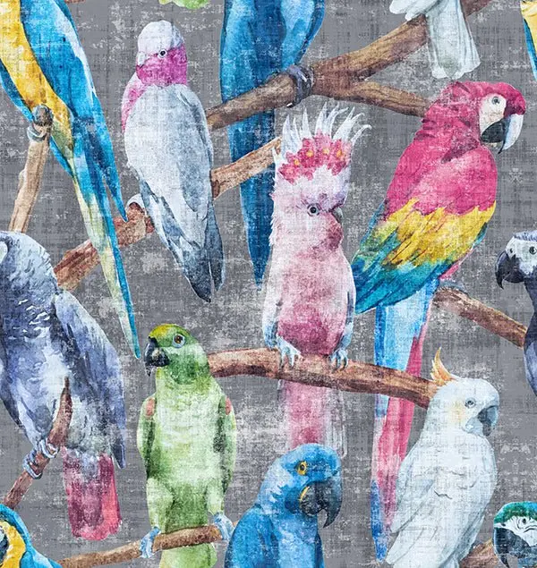 Cockatoo Fantasia Fabric