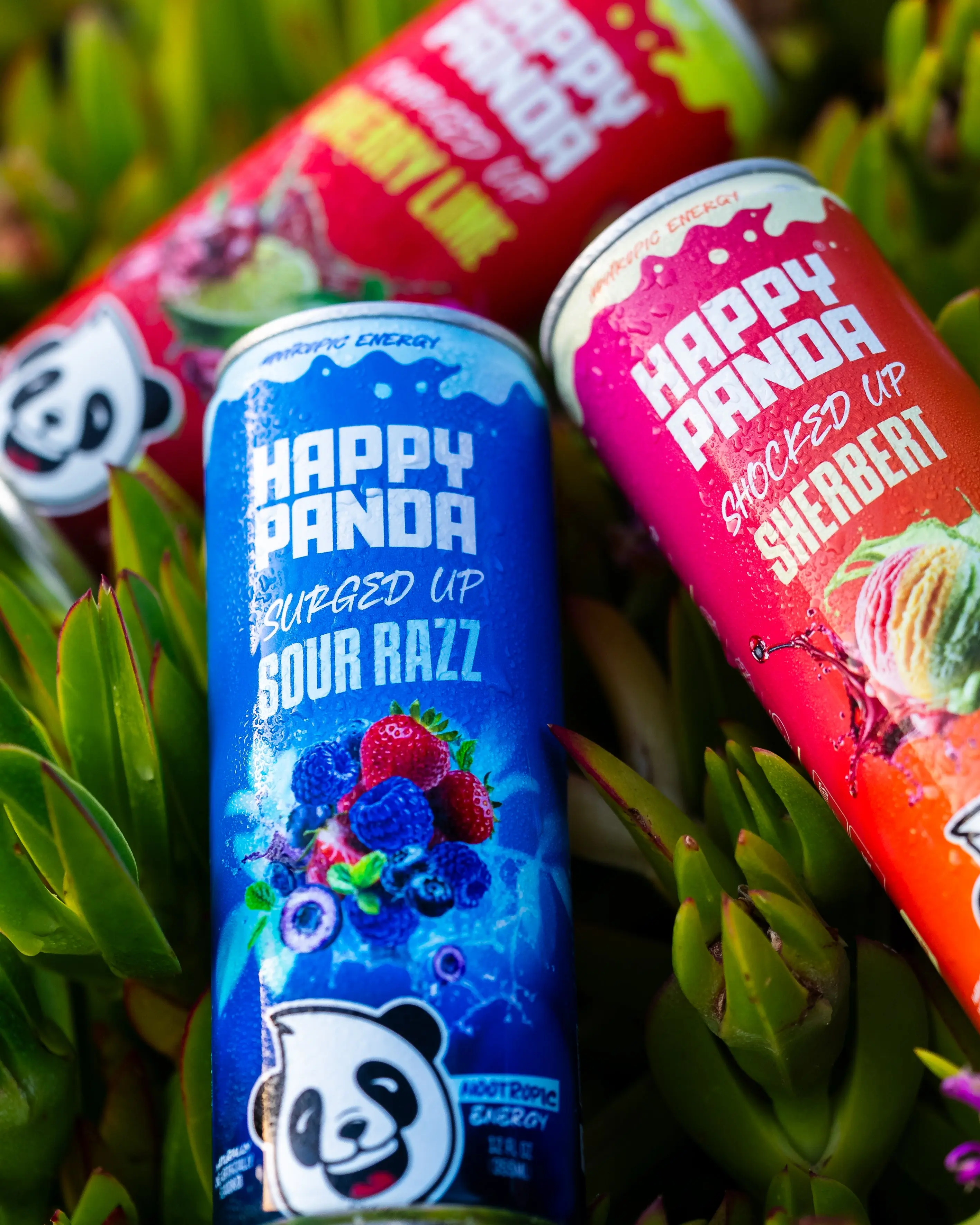 Happy Panda | Nootropic Energy Drink - 12 Packs