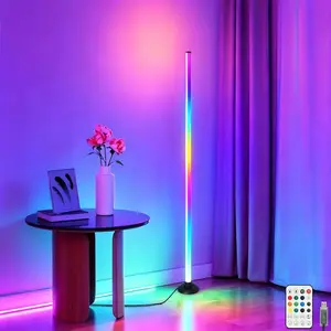 Smart RGB IC LED Floor Lamp, USB Powered with Remote & App Control, Dimmable Color Changing Ambient Light for Modern Home Decor & Holiday Gifts