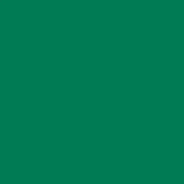 Siser EasyWeed EcoStretch 12in Eco-Conscious Heat Transfer Vinyl Fabric - PU Base, Eco-Friendly, Recyclable Film, Energy-Efficient, Stretchy Lycra & 100% Cotton, Matte Finish, Machine Wash-Safe, Sewing Supplies