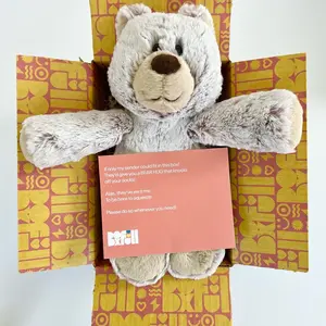 BoxFull Teddy Bear Hug in a Box Thoughtful Gift Mothers Day