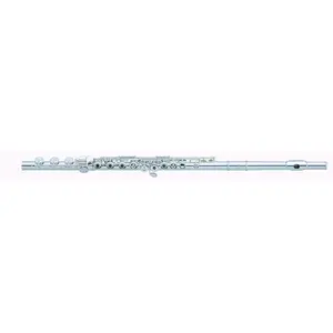 Pearl Quantz Series Intermediate Flute, Offset G, B Footjoint, and Split E (505RBE1RB)