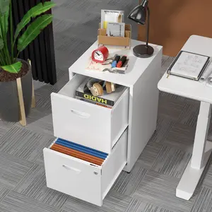 2‑Drawer Lockable Vertical Metal File Cabinet, 18" Deep Multi‑Color Steel Light‑Duty Storage Cabinet for Letter‑Size Files, Home & Office Use – Assembly Required