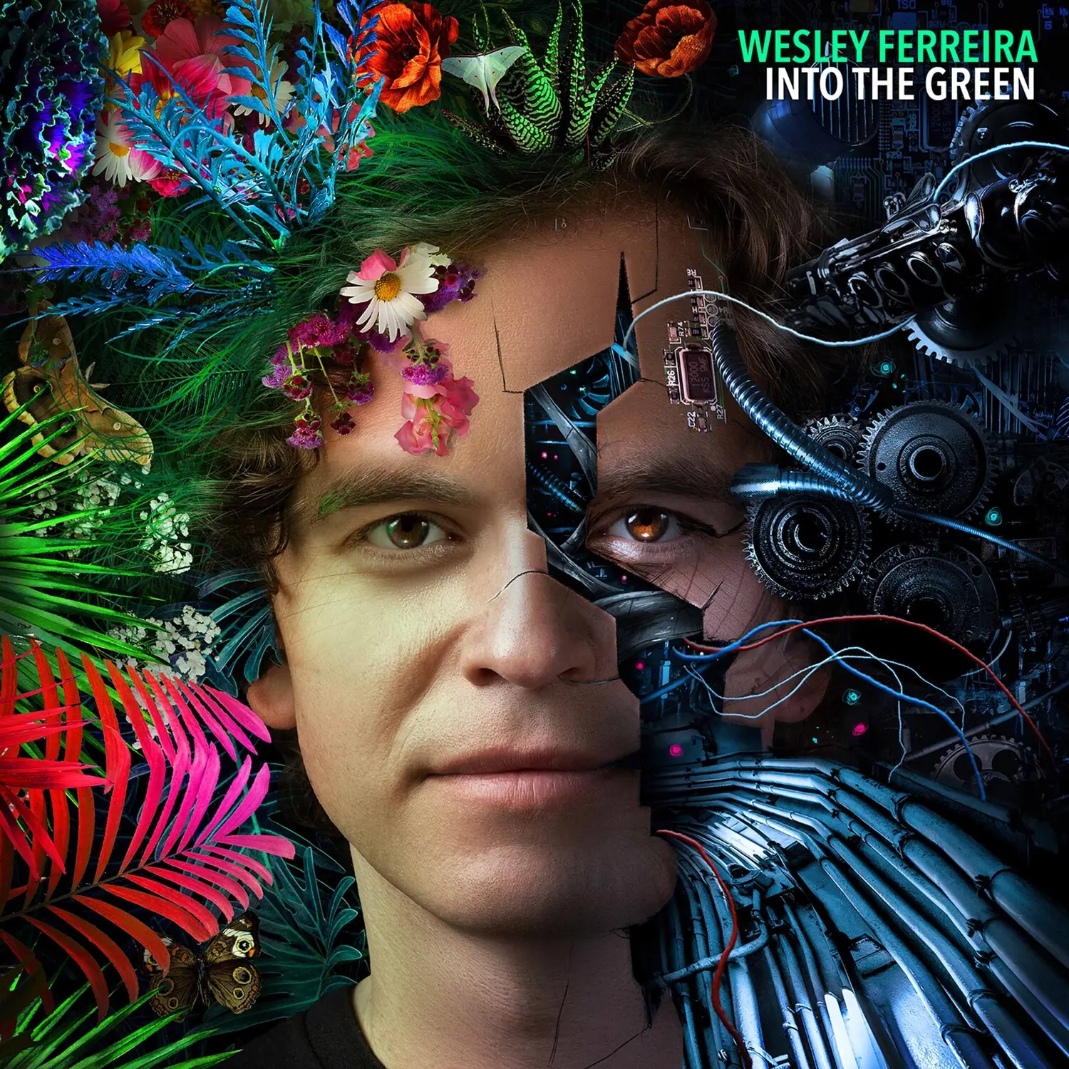 Bermel / Ferreira - Into the Green  [COMPACT DISC - CD]