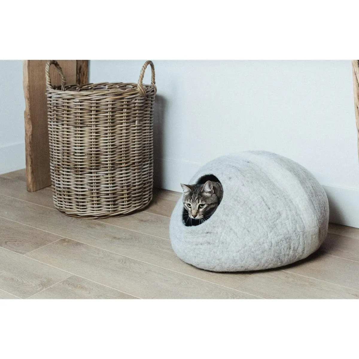 Horizon Cat Cave