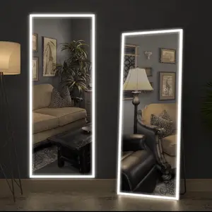 CASSILANDO 63x20 inch full length mirror with led lights