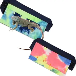 Lizard chameleon crawling pet going out bag animal take-out travel bag, lizard walking, chinchilla guinea pig