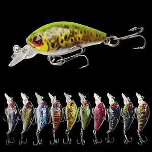 10pcs Lifelike Mini Fishing Lures Set Assorted Bionic Minnow Crankbaits for Freshwater and Saltwater Fishing Gear Kit