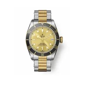 TUDOR Black Bay S&G — M79733N-0004/3580