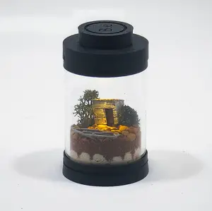 Rustic Shack Terrarium Kit | TINY