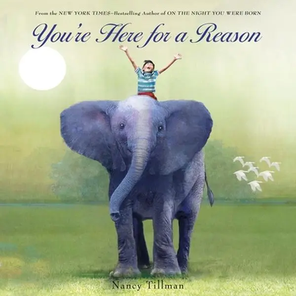USED Book - You're Here for a Reason by Tillman, Nancy (Board book) - english