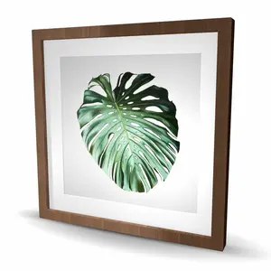 212 MAIN Leaf Shape Wood Framed Matted Photo Print Wall Artwork, 24x24 in - Elegant Framing Nature Inspired Plant Decoration, Ideal for Kitchen, Living Room Home Supplies