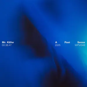 Mr. Käfer - A Past Sense  [VINYL RECORD - LP]