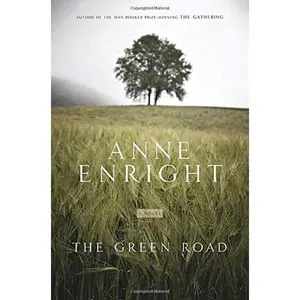 USED-The Green Road by Anne Enright (Hardcover)
