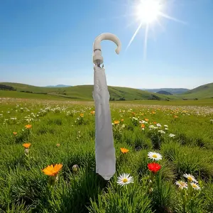 Sombrillas para iyawo Umbrella Light Cover