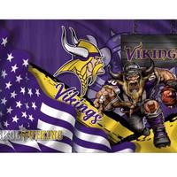 Vikings