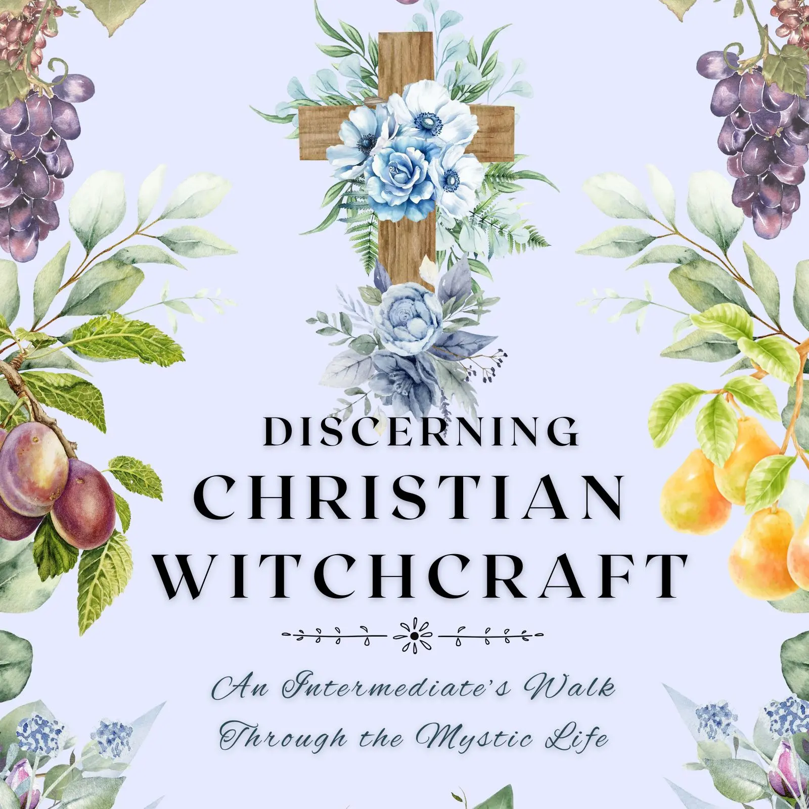 Discerning Christian Witchcraft An Intermediate's Walk Through the Mystic Life Christian Mysticism and Witchcraft Spirituality Personal Practice Book