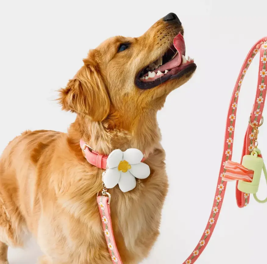 Adjustable Dog Collar, Comfort Durable Pet Collar with Quick Release Buckle for Small Medium Large Dogs