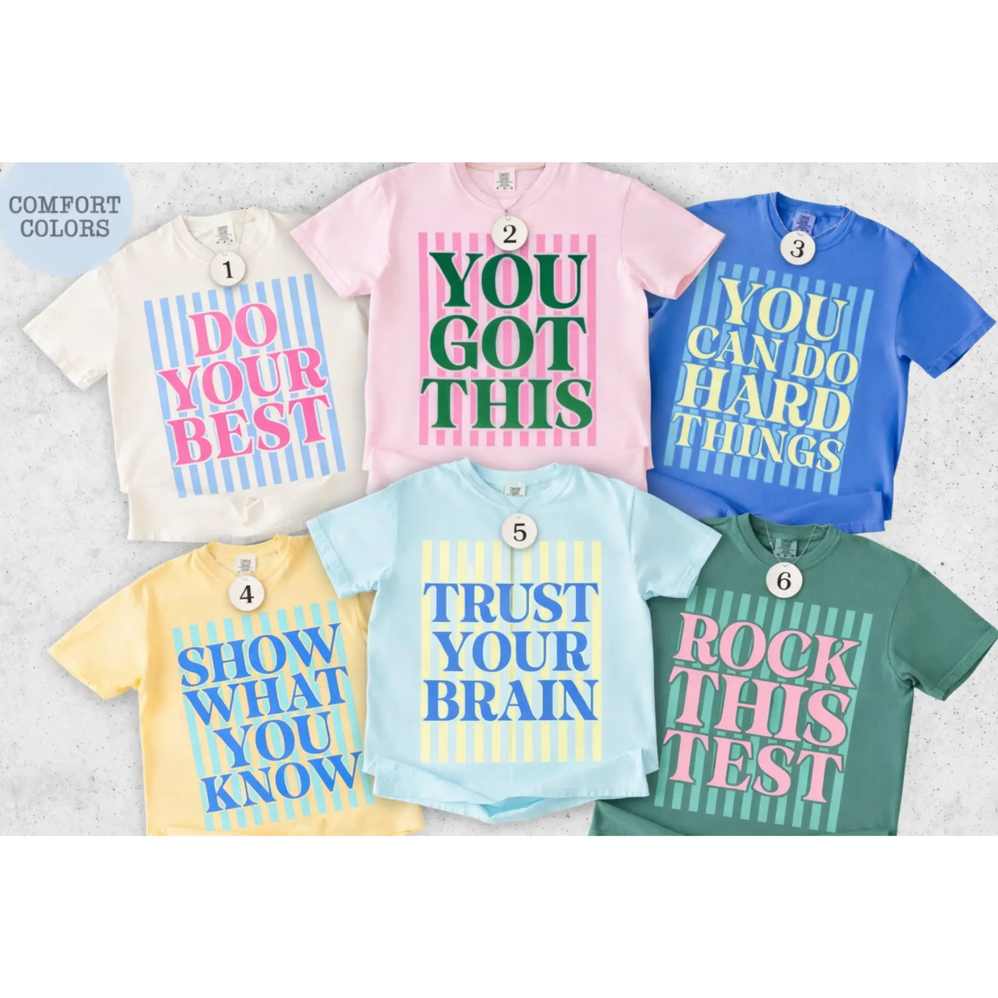 Custom Test Day TShirt, Comfort Colors You Got This Tee, Matching State Testing Shirts, Teacher Team TShirts, Cute School Testing Day Tee, Testing Coordinator Shirt