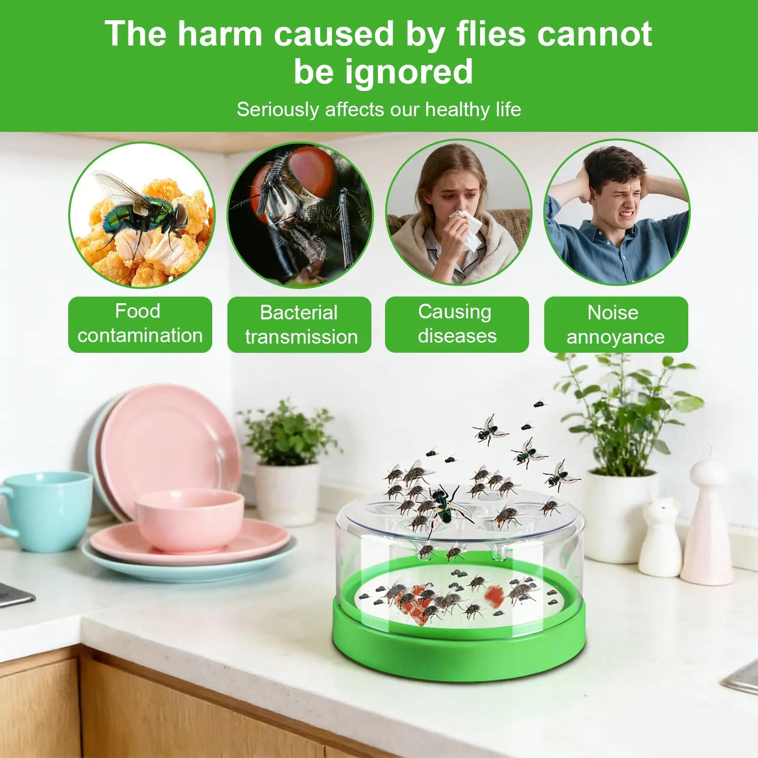 Reusable Outdoor Fly Trap for Patio Garden Home—Non Toxic Pest Control Cage with 7 Holes. Catches Wasps Flies Gnats Insects. Transparent Top Green Base. No Electricity Battery. Safe Effective Durable Plastic without Bait