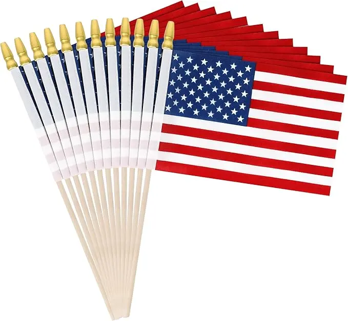 12 Pack Mini American Flags on Stick 6x4 Inch Small USA Handheld Flags for Fourth of July Decorations Independence Day Party Favors Memorial Day Veterans Day Patriotic Events & Classroom Supplies