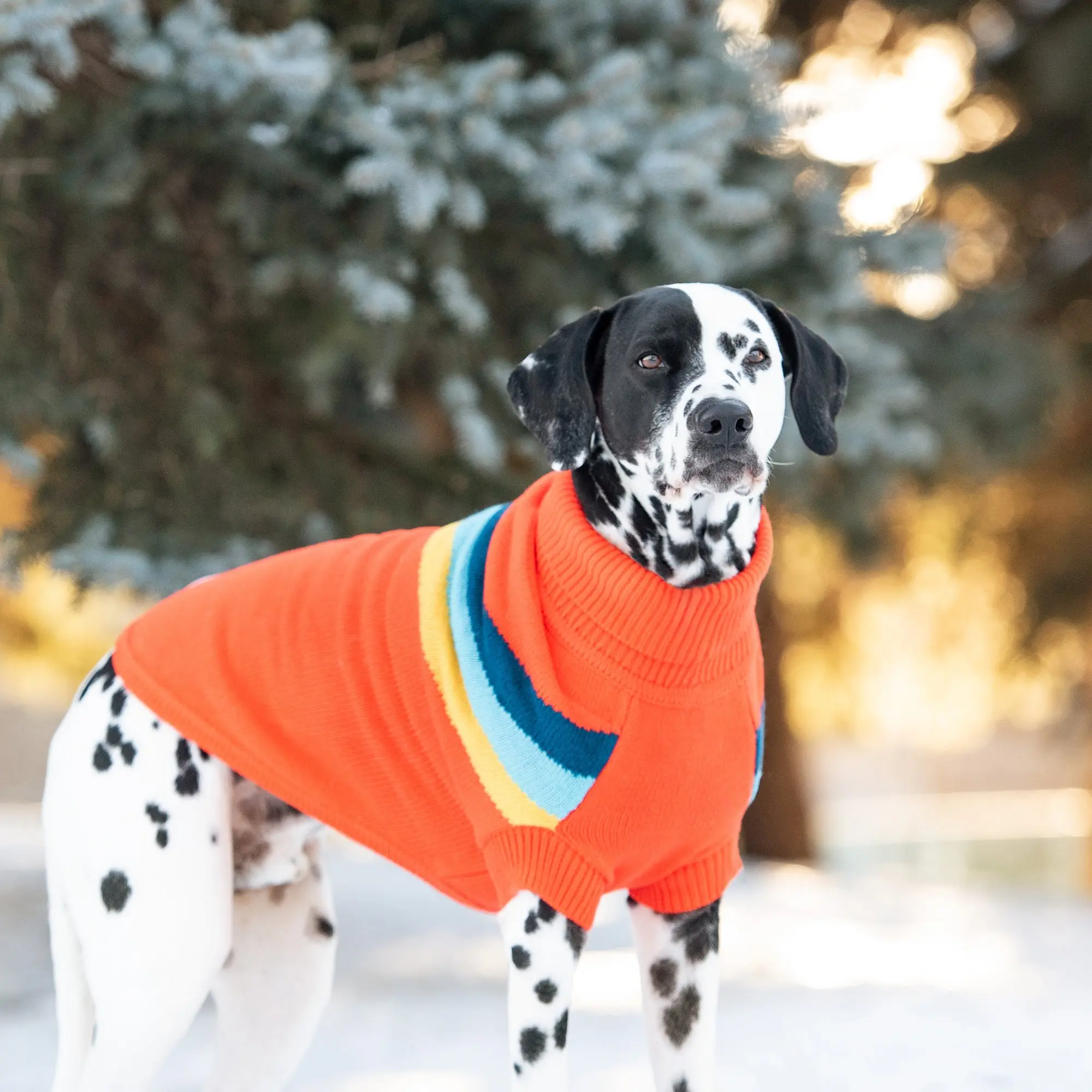 Stylish Alpine Dog Sweater - Orange Turtleneck Pet Apparel paws winter warm sweater small medium