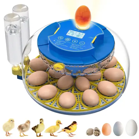 AsFrost 18-Capacity Transparent Plastic Dome Bird Egg Incubator with 18 Hatching Trays, Automatic Turning, Humidity Control, 300ml Visual Filling, 360° View, Candler, 4-Day Hatch Stop, 1 Mesh, 1 Power Adapter for Pets & Farms, User-Friendly