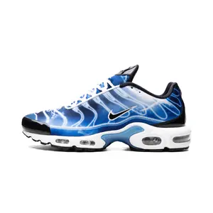 Air Max Plus "Light Streaks" DZ3531 400