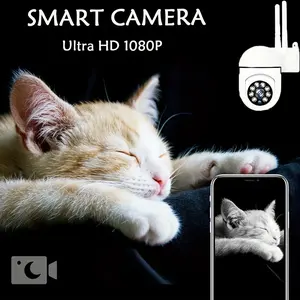 1080p Wireless Pet Camera for Home and Outdoor Use  WiFi Floodlight Motion Detection Two-Way Audio Color Night Vision Wall-Mountable USB Powered Non-Waterproof Large Cat Kicker Toy  Catnip Themed Bat Indestructible Plush Doll Clothes Set Electric with