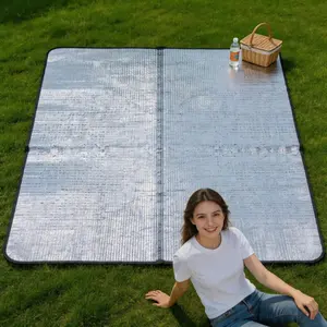 Double-Sided Aluminum Foil Foam Camping Pad, Waterproof Insulating Mat for Picnic and Camping, Ideal for Beach, Tent, Outdoor Activities