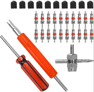 30 Pcs Tire Valve Core Remover Tool Kit 30 Pcs Tire Valve Core Remover Tool Kit