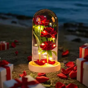 Glass Red Rose Birthday Gifts for Women Mom Girlfriend Eternal Rose Flower Gift Light Up Red Rose in Glass Dome Rose Gifts for Mothers Day Birthday Valentines