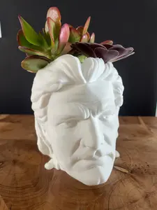 Pedro Pascal Planter