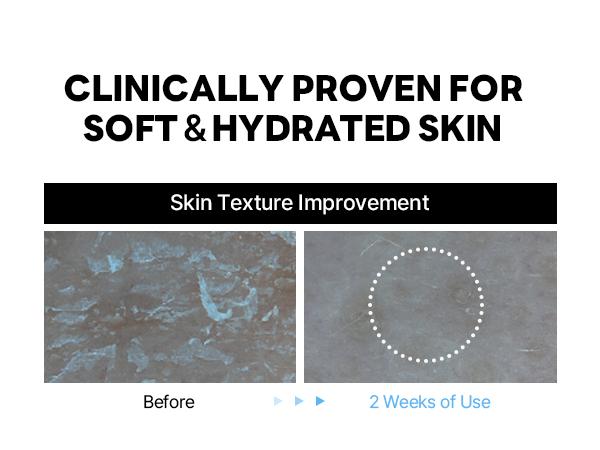 ROUND LAB 1025 Dokdo Cream 80ml (facial cream)