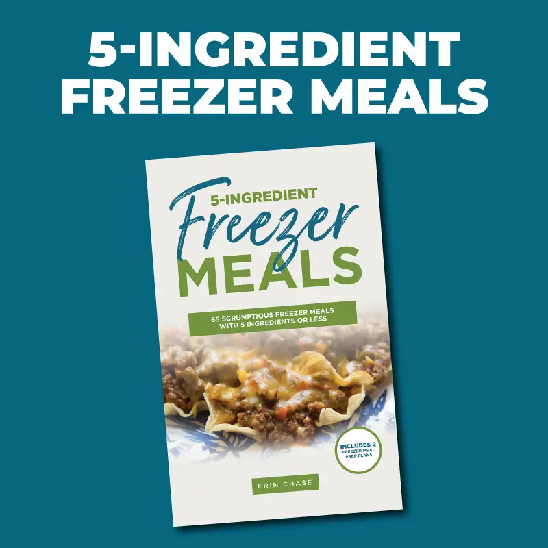 Cookbook - 5-Ingredient Freezer Meals by Erin Chase