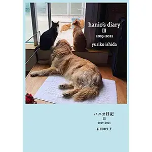 USED-????? III 2019-2021 by ????? (Tankobon Softcover)