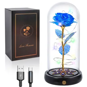 DEEMEI DIY Artificial Roses forever Flower Glass Cover Dome with LED Light & USB Charge for Wife Mom Dad Couple Girlfriend Christmas Day Gift Idea