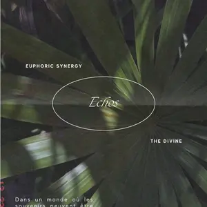 ECHOS Poster ECHOS Poster