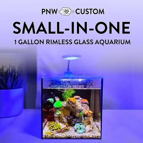 Small-In-One | 1 Gallon Desktop Aquarium