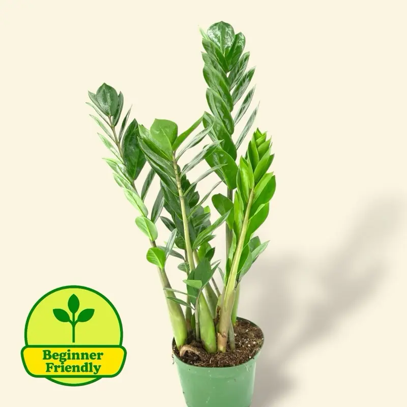 succulent faux plants Artificial Mini Succulent Plants in Brown Planter, Set of 3