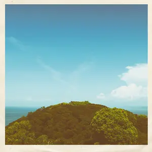 Vanilla - Pointbreak  [7-INCH SINGLE VINYL RECORD]