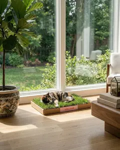 Kitty Lawn Luxury 24" x 16" All-Natural Real Hydroponic Grass Pad for Indoor & Outdoor Use