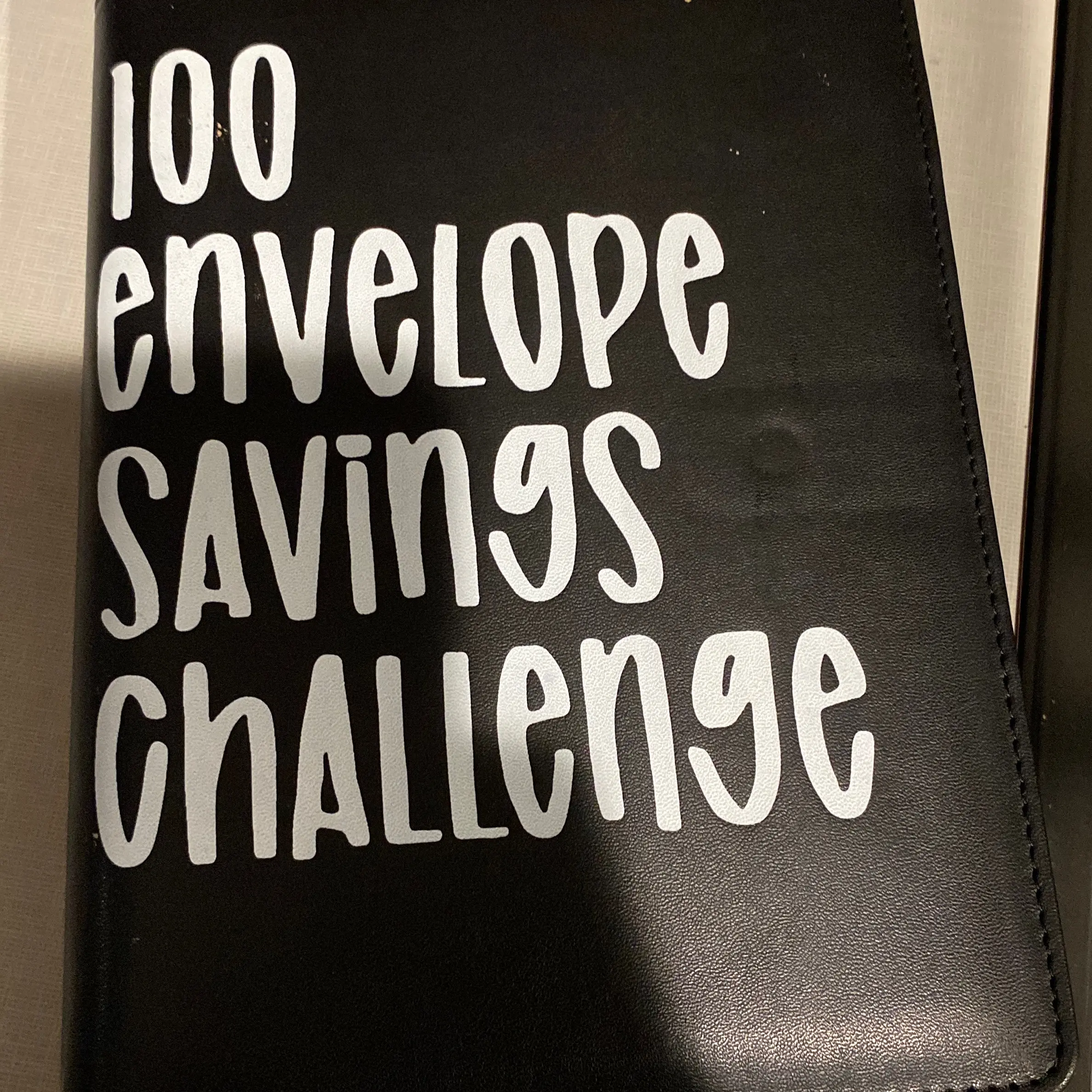 100 Day Money Challenge Savings Book - Budget Planner for Personal Finances