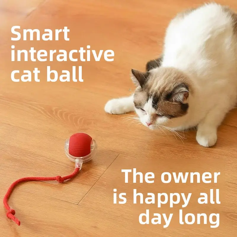 Automatic Cat Teaser Ball with Adjustable Speed