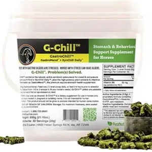 SynNutra G-Chill All-Natural Digestive Health Support for Horses - 30 servings - Promotes Stomach & Hindgut Health, Aids in Gastric Ulcer Relief, Enhances Collagen & Fibronectin Production for Tissue Repair
