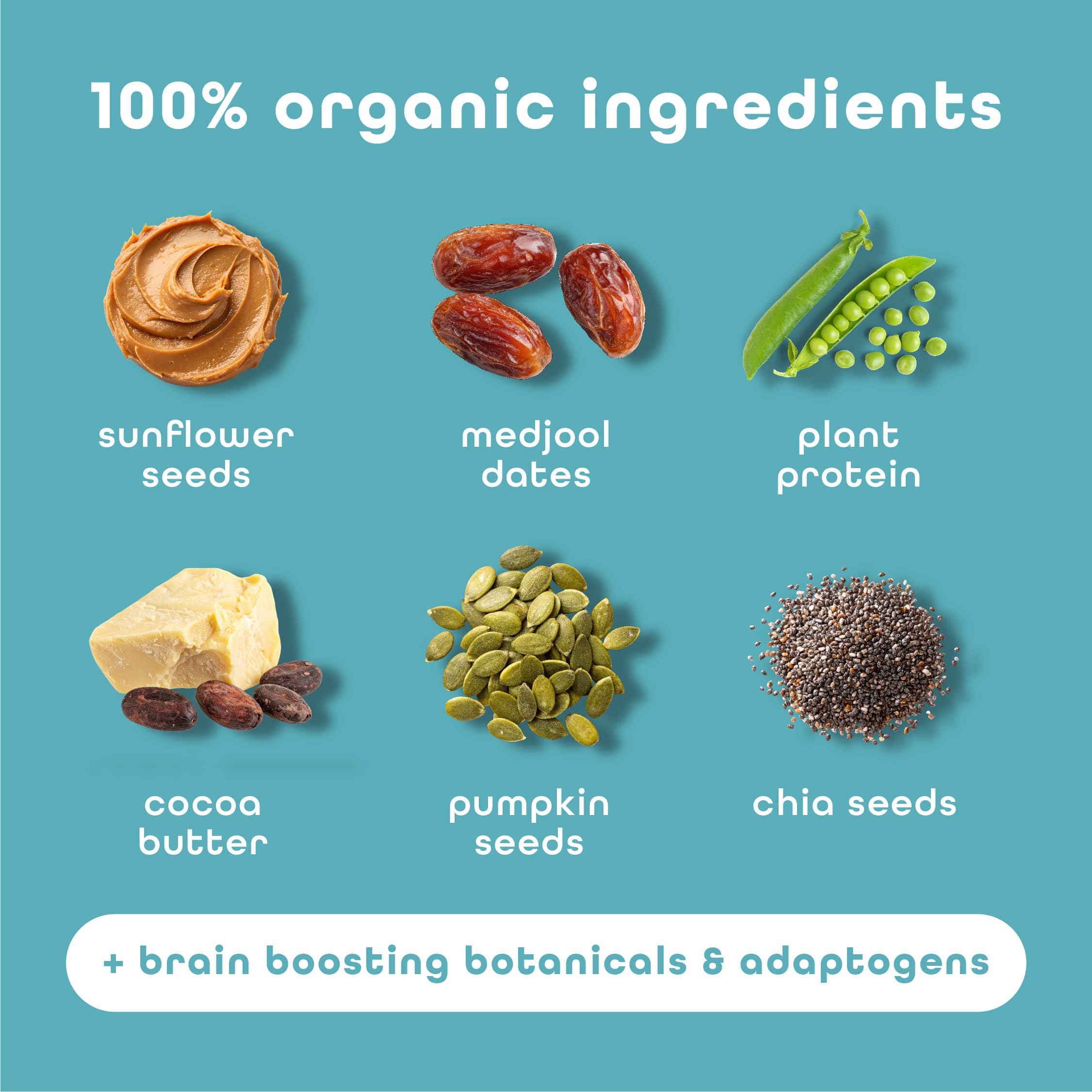 Feel Vegan Protein Bars | Best Sellers Variety 6 Pack | 15g Plant Protein | Organic | Gluten Free I Nut Free I Soy Free I Grain Free