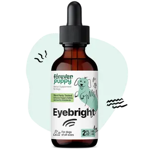 Eyebright Drops for Dogs - Eyebright Herb Tincture for Soothing Eyes Irritation - Liquid Eye Health Support Supplement for Dogs of All Breeds & Sizes - 2 oz