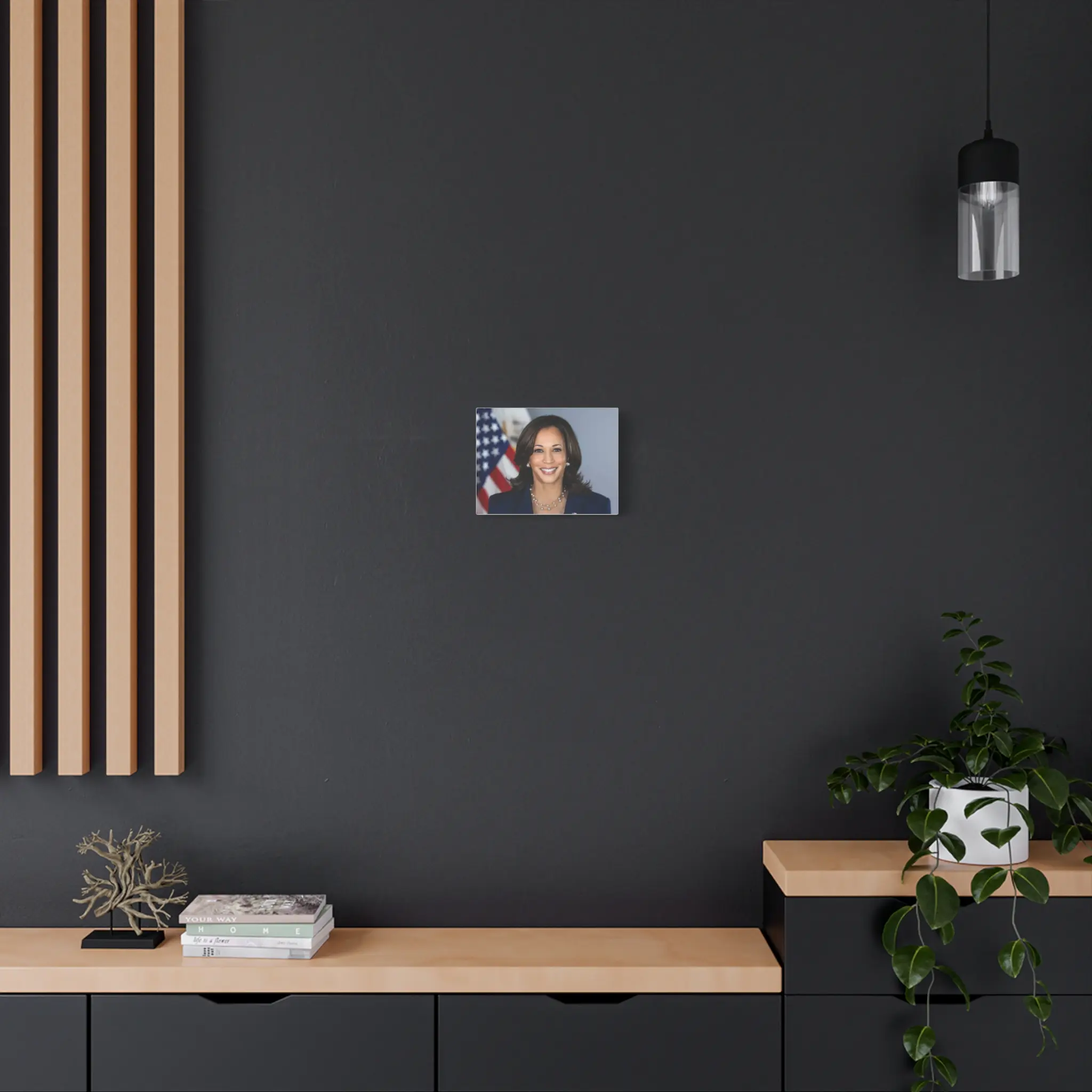 Matte Canvas, Stretched, 1.25" - Profile Radiata Pine Frame, Soft Rubber Dots, Back Hanging Included